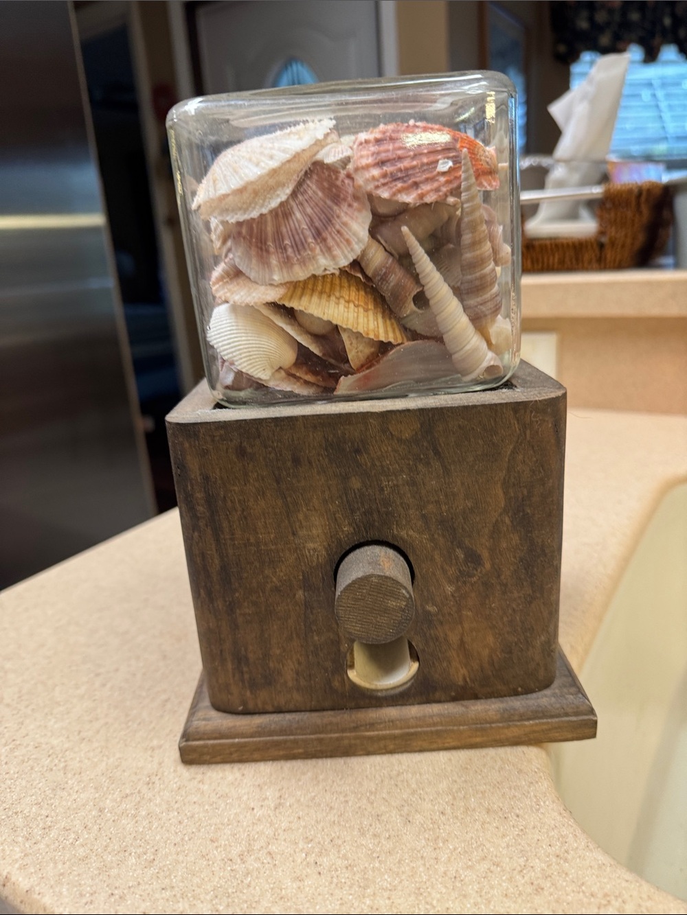 Vintage handmade Decorative Seashell Candy/Trinket Dispenser in Wood Base